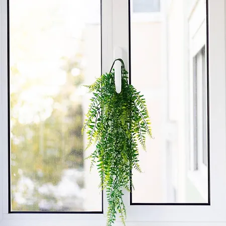 Serene 2-bedroom Flat With Garden View In Benfica Daire *